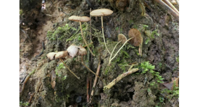 行業(yè)動態(tài)