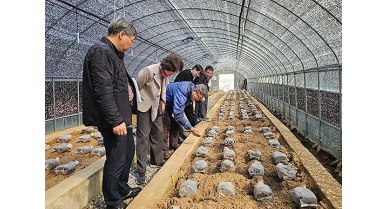 行業(yè)動態(tài)